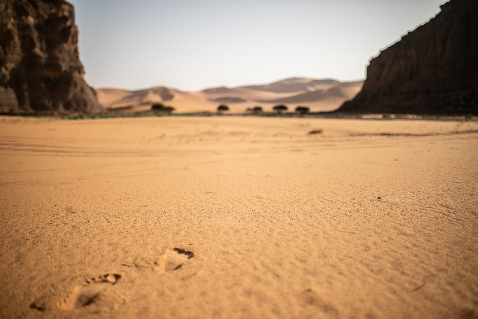 Human & Nature  outoftime 63